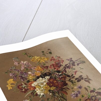 AW/243 Freesias and Primroses by Albert Williams