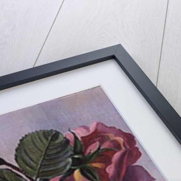 AB/289 Lady Sylvia Roses in a Silver Vase by Albert Williams