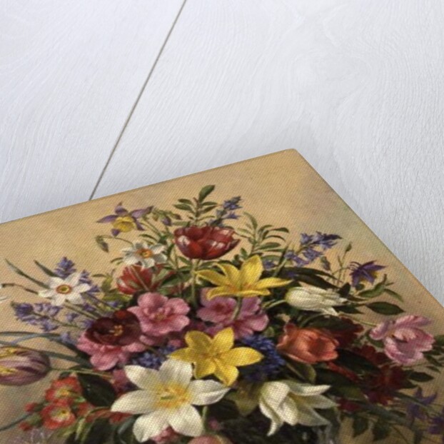 AB/295 Mid Spring Glory by Albert Williams