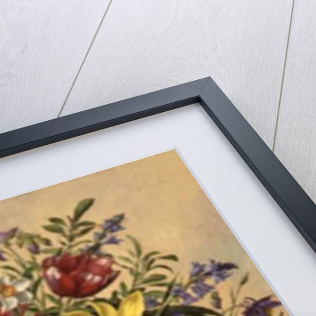 AB/295 Mid Spring Glory by Albert Williams