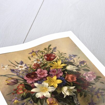 AB/295 Mid Spring Glory by Albert Williams