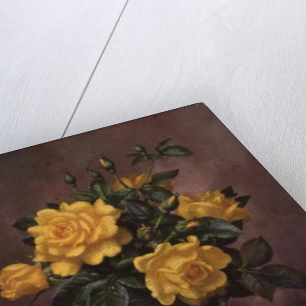 AB/303 Radiant Yellow Roses by Albert Williams