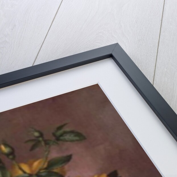 AB/303 Radiant Yellow Roses by Albert Williams