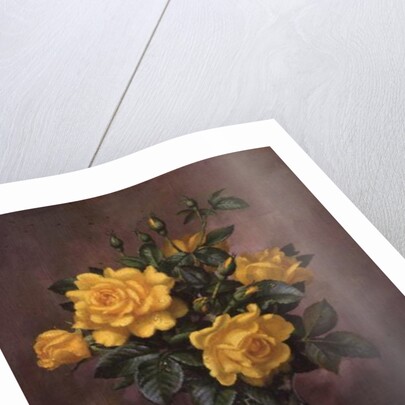 AB/303 Radiant Yellow Roses by Albert Williams