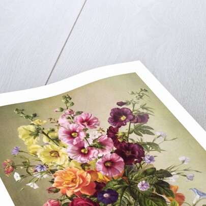 AP/266 Floral Rapture by Albert Williams