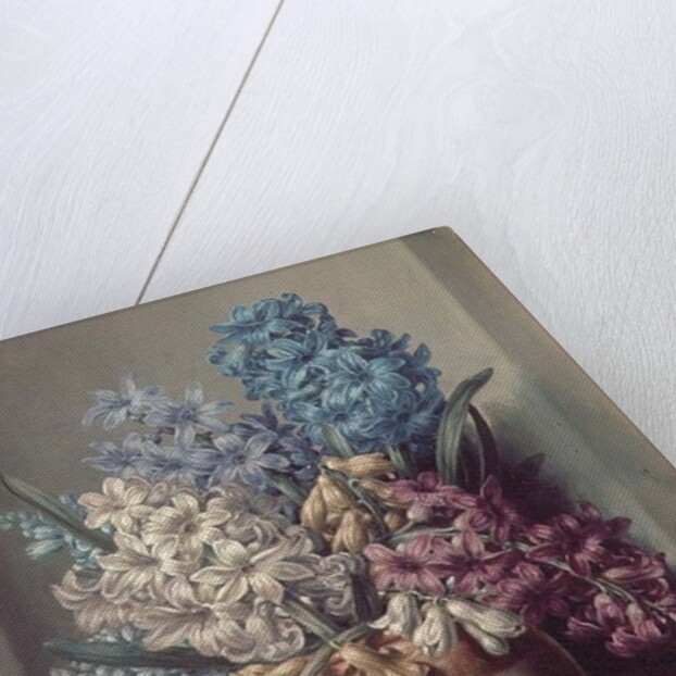 AB/313 Hyacinths in a Pottery Vase by Albert Williams