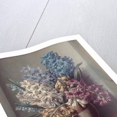 AB/313 Hyacinths in a Pottery Vase by Albert Williams