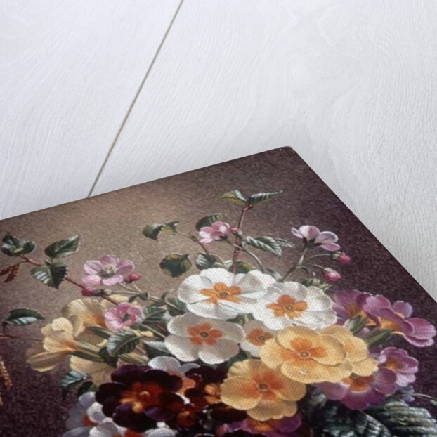 AB/314 Primulas in a Glass Vase by Albert Williams