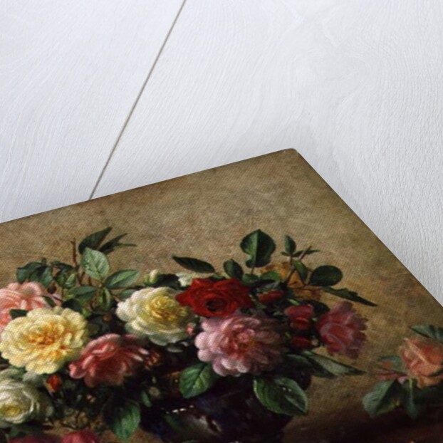 AB/110/2 All Beauty in a Summer Rose by Albert Williams