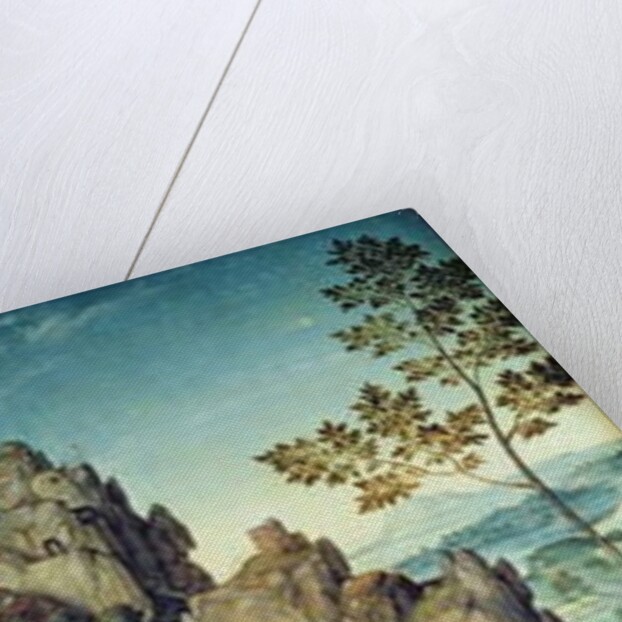 Wife of a donor kneeling by a river by Joos van Cleve