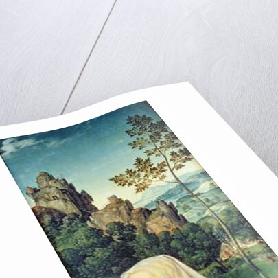 Wife of a donor kneeling by a river by Joos van Cleve