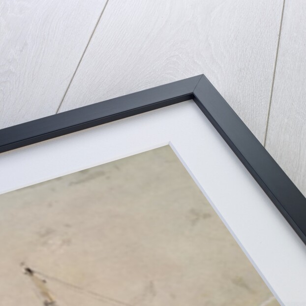 Walking in the Pack, Ross Expedition, 1842 by John Edward Davis