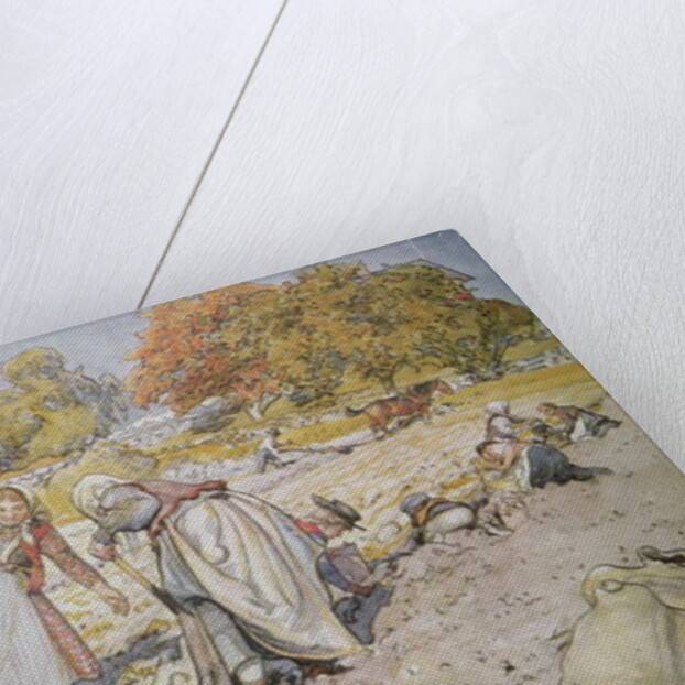 Digging Potatoes, 1905 by Carl Larsson