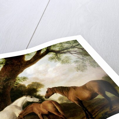 Two Shafto Mares and a Foal, 1774 by George Stubbs