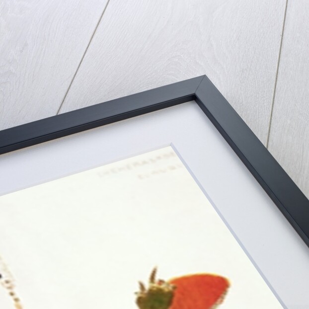 A Eunuch by Leon Bakst