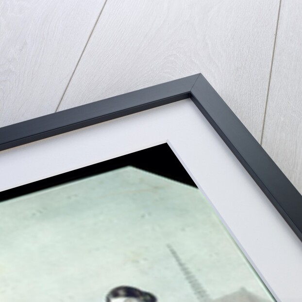 La Esmeralda: Carlotta Grisi & Jules Perrot by Augustus Jules Bouvier