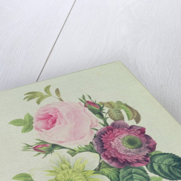 Rose, anemone and Clematide by Pierre Joseph Redouté