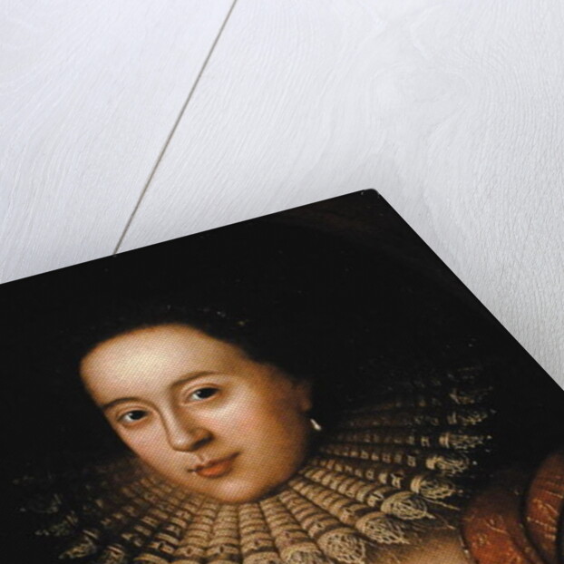 Portrait of Frances Howard Countess of Somerset, c.1615 by William Larkin