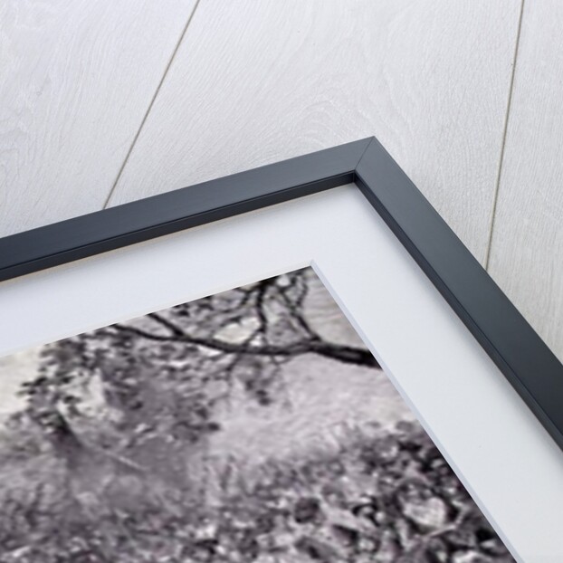 The Continental Army Marching Down the Old Bowery, New York, 25th November 1783 by Howard (after) Pyle