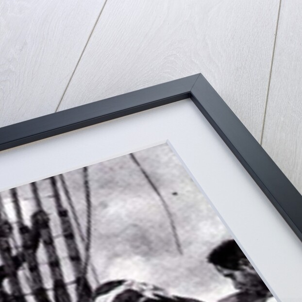 Captain Tongrelow Took the Biggest by Howard Pyle