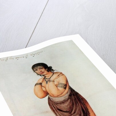 Indian Woman by John White