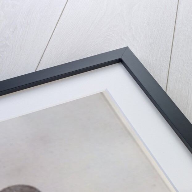 Indian Woman and Baby of Pomeiooc by John White