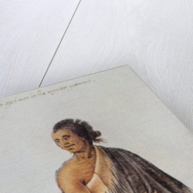 Old Indian Man by John White