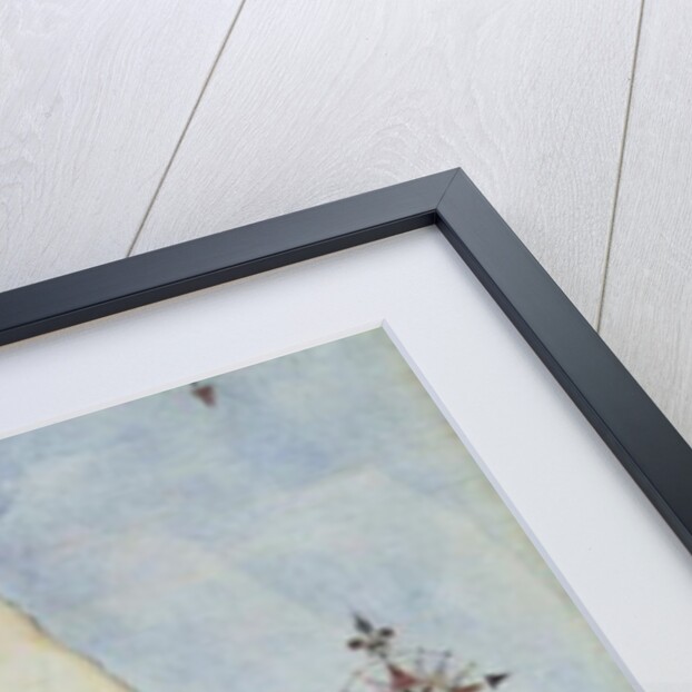 Map of Raleigh's Virginia by John White