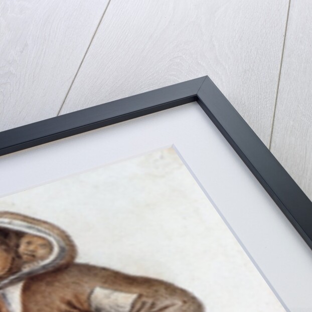 Eskimo Woman and Baby by John (after) White