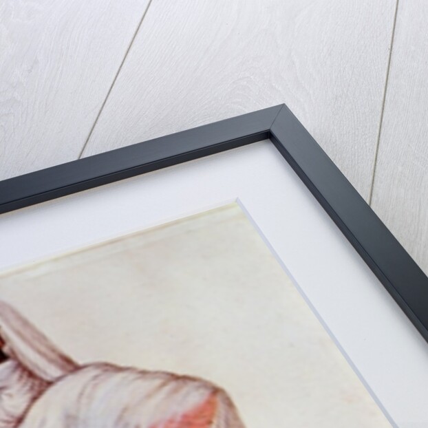 Turkish Woman by John White