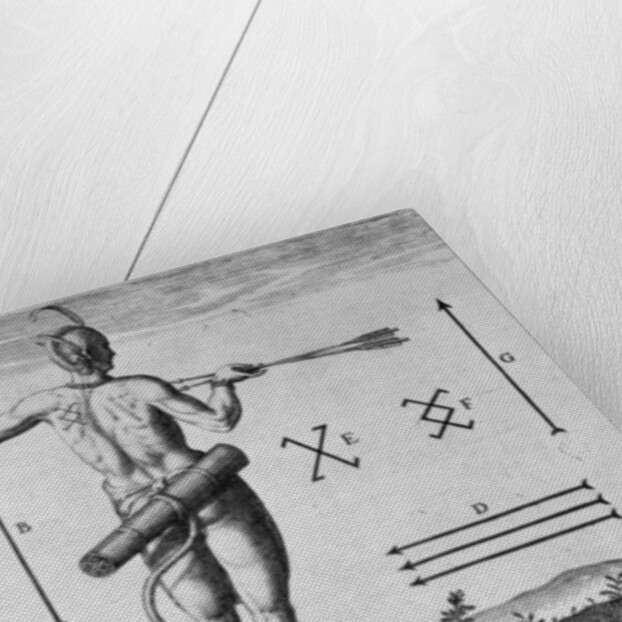 Indian Markings by John White