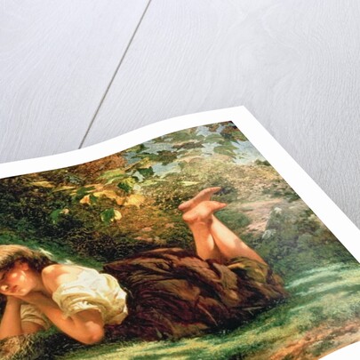 The Nest by Robert RSA Gavin