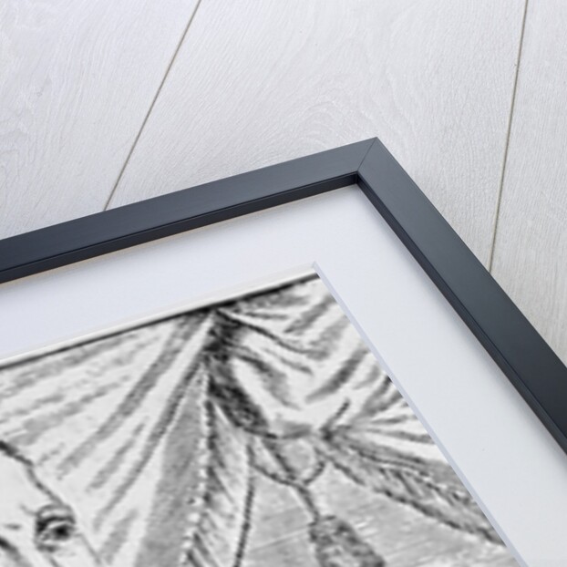 Portrait of Pedro de Valdibia, Governor of Chile by English School