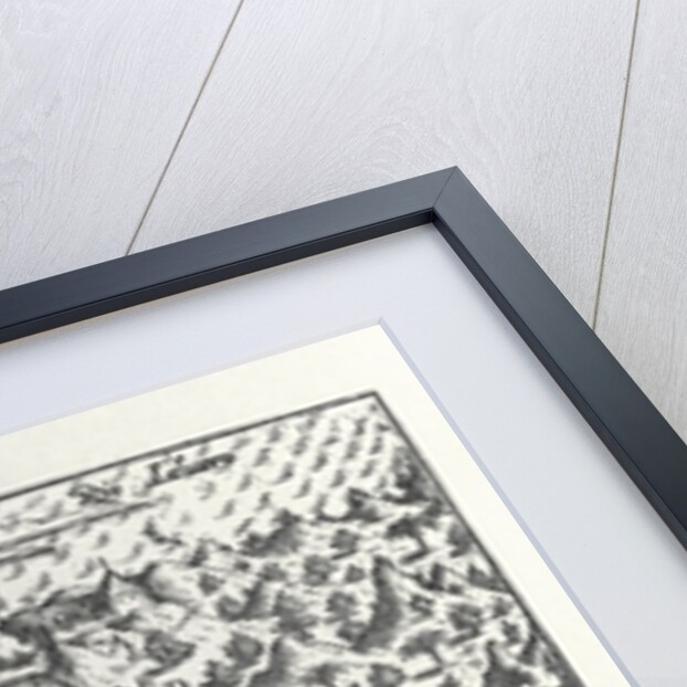 Rio de Janeiro in 1599 by Netherlandish School