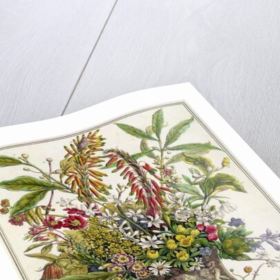 January by Pieter Casteels