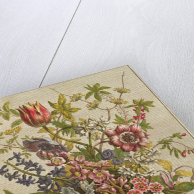 February, from `Twelve Months of Flowers' by Robert Furber by Pieter (after) Casteels