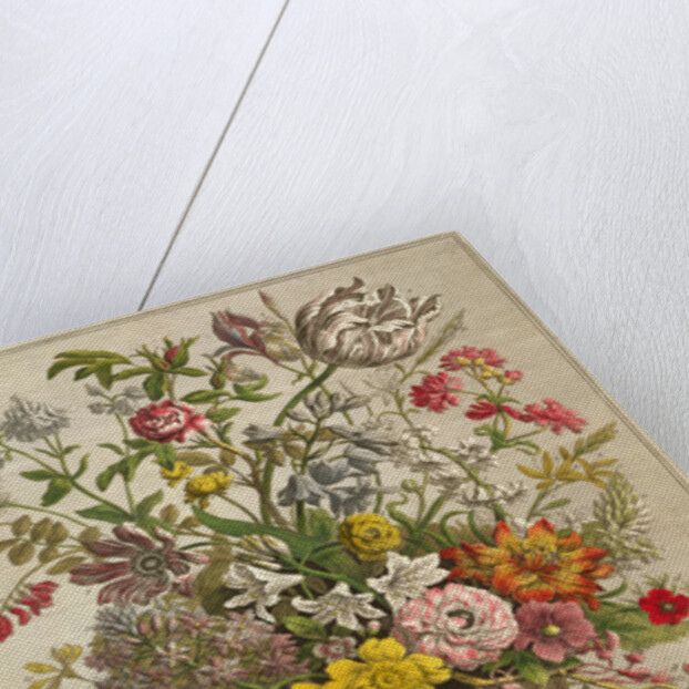 May by Pieter Casteels