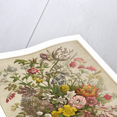 May by Pieter Casteels