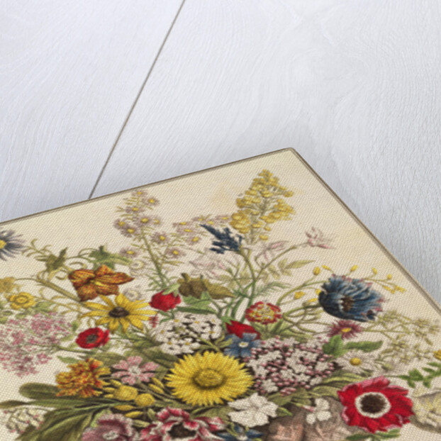 November by Pieter Casteels