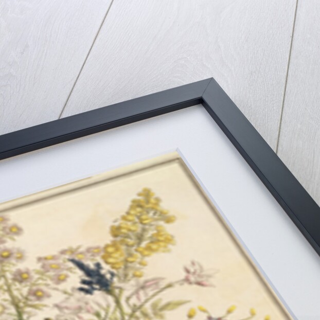 November by Pieter Casteels