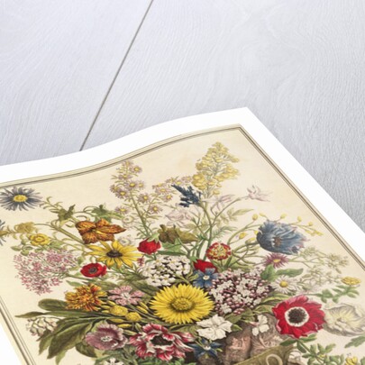 November by Pieter Casteels