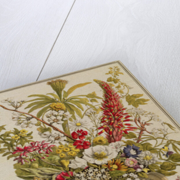 December by Pieter (after) Casteels