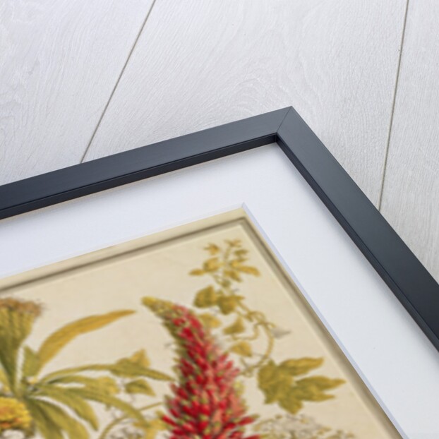 December by Pieter (after) Casteels