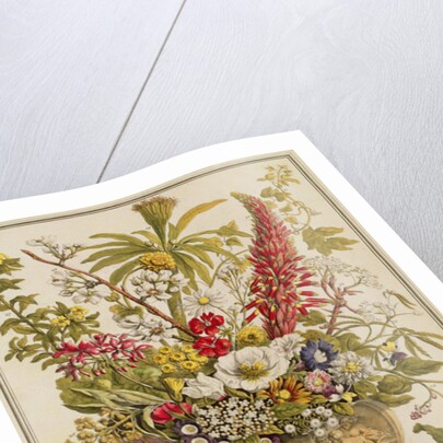 December by Pieter (after) Casteels