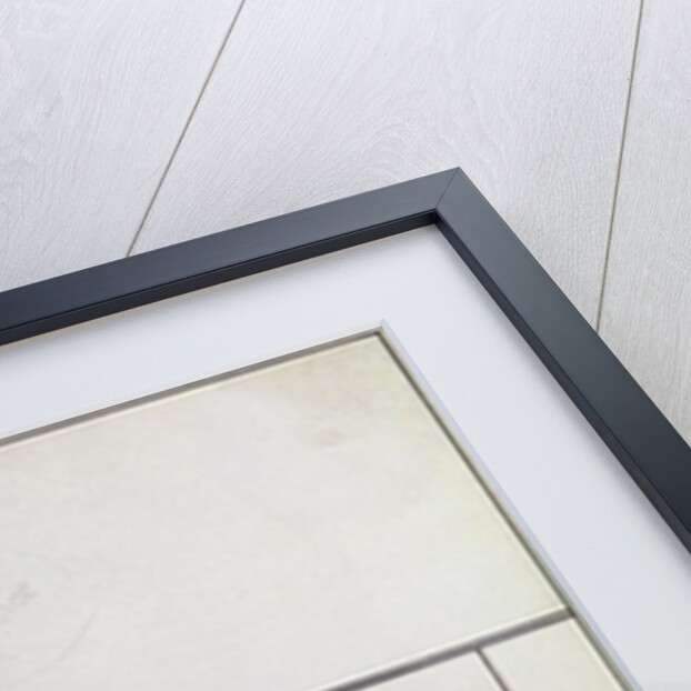 Fourth tableau of Das Rheingold, c.1897 by Aubrey Beardsley