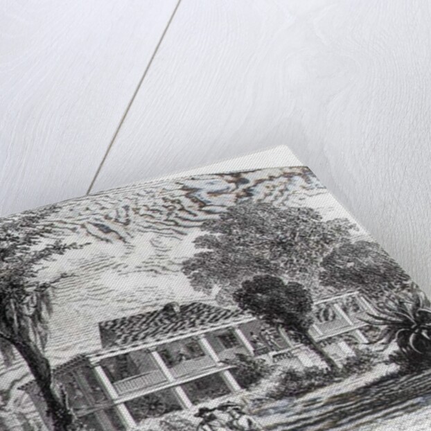 Planter's House on the Mississippi by American School