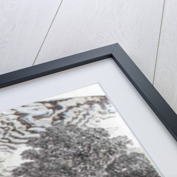 Planter's House on the Mississippi by American School