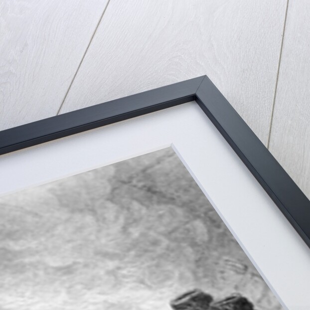 Captain Smith rescued by Pocahontas, 1607 by Asa Coolidge (after) Warren