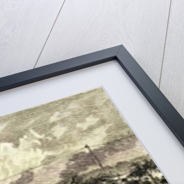 After the Battle of Seven Pines, June 1862 by American School