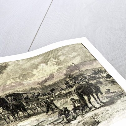 After the Battle of Seven Pines, June 1862 by American School